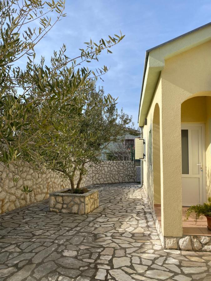 Apartments Mikecin Novigrad  Exteriör bild