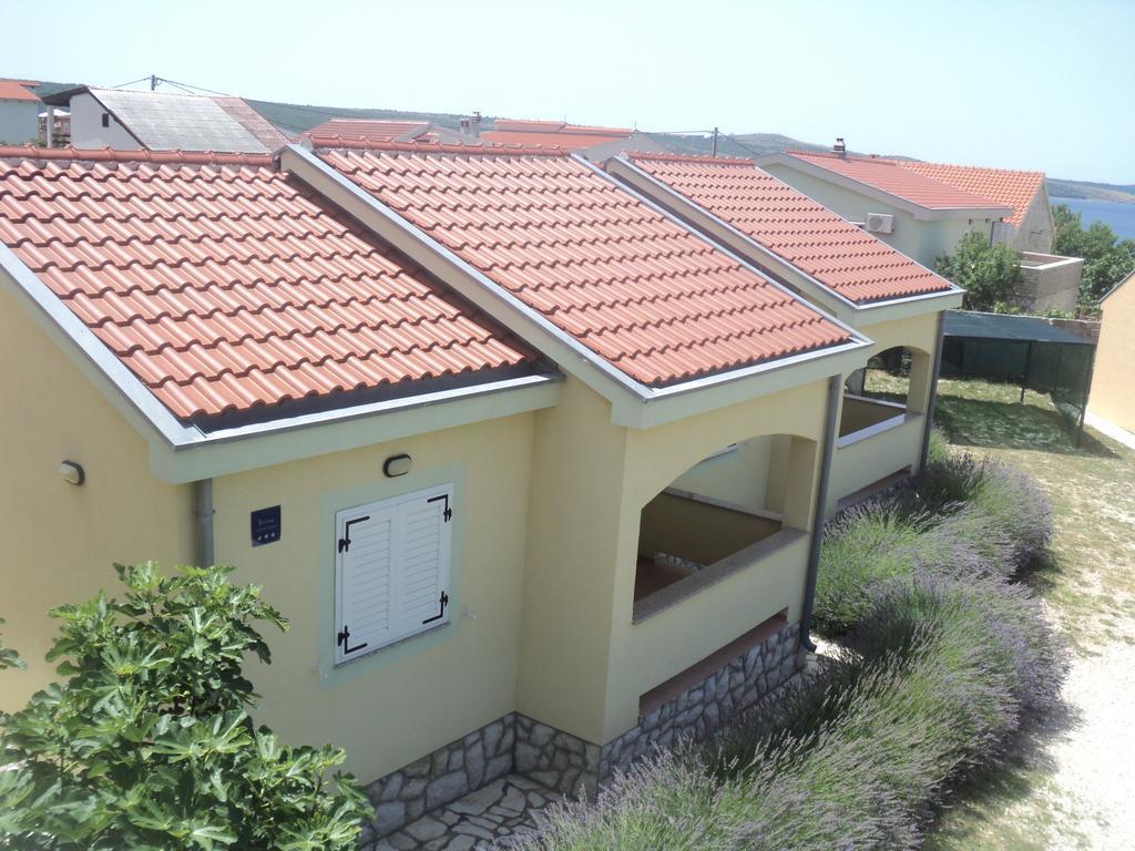 Apartments Mikecin Novigrad  Exteriör bild
